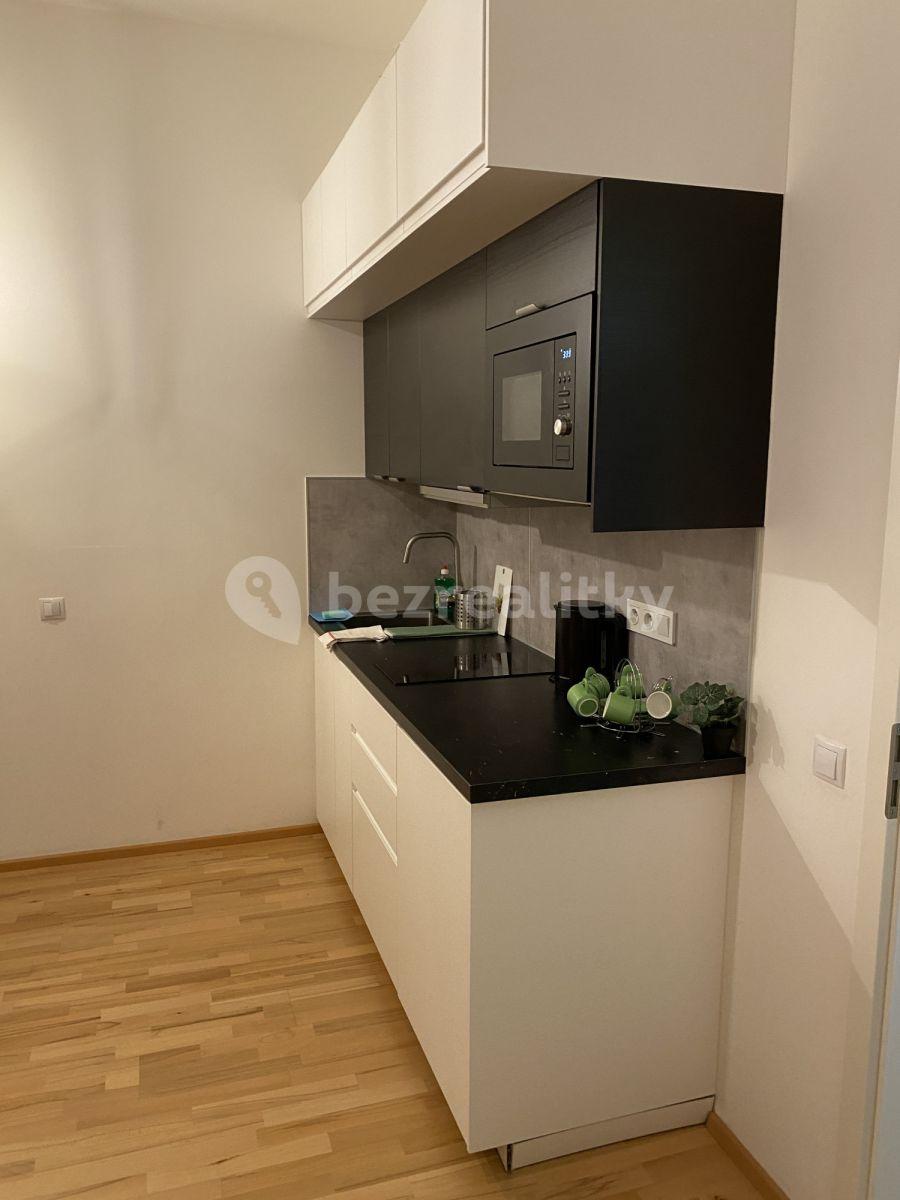 Studio flat to rent, 26 m², Tyršova, Prague, Prague