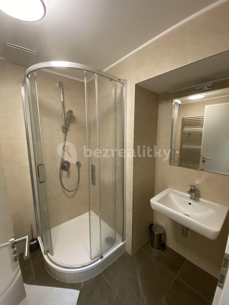 Studio flat to rent, 26 m², Tyršova, Prague, Prague