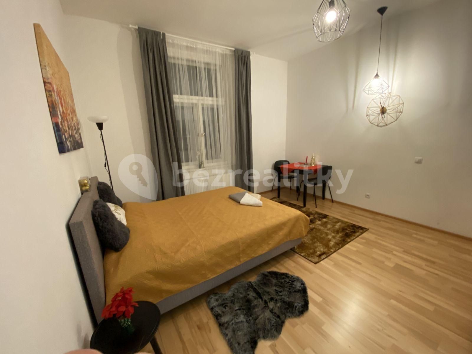 Studio flat to rent, 26 m², Tyršova, Prague, Prague