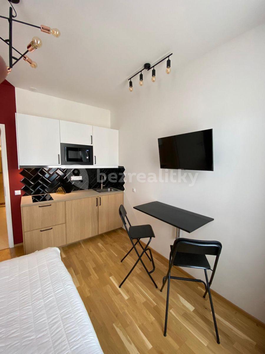 Studio flat to rent, 24 m², Tyršova, Prague, Prague