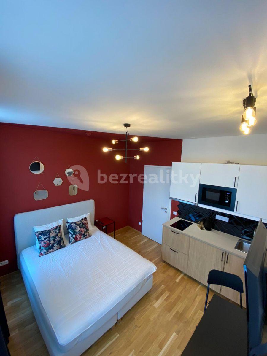 Studio flat to rent, 24 m², Tyršova, Prague, Prague