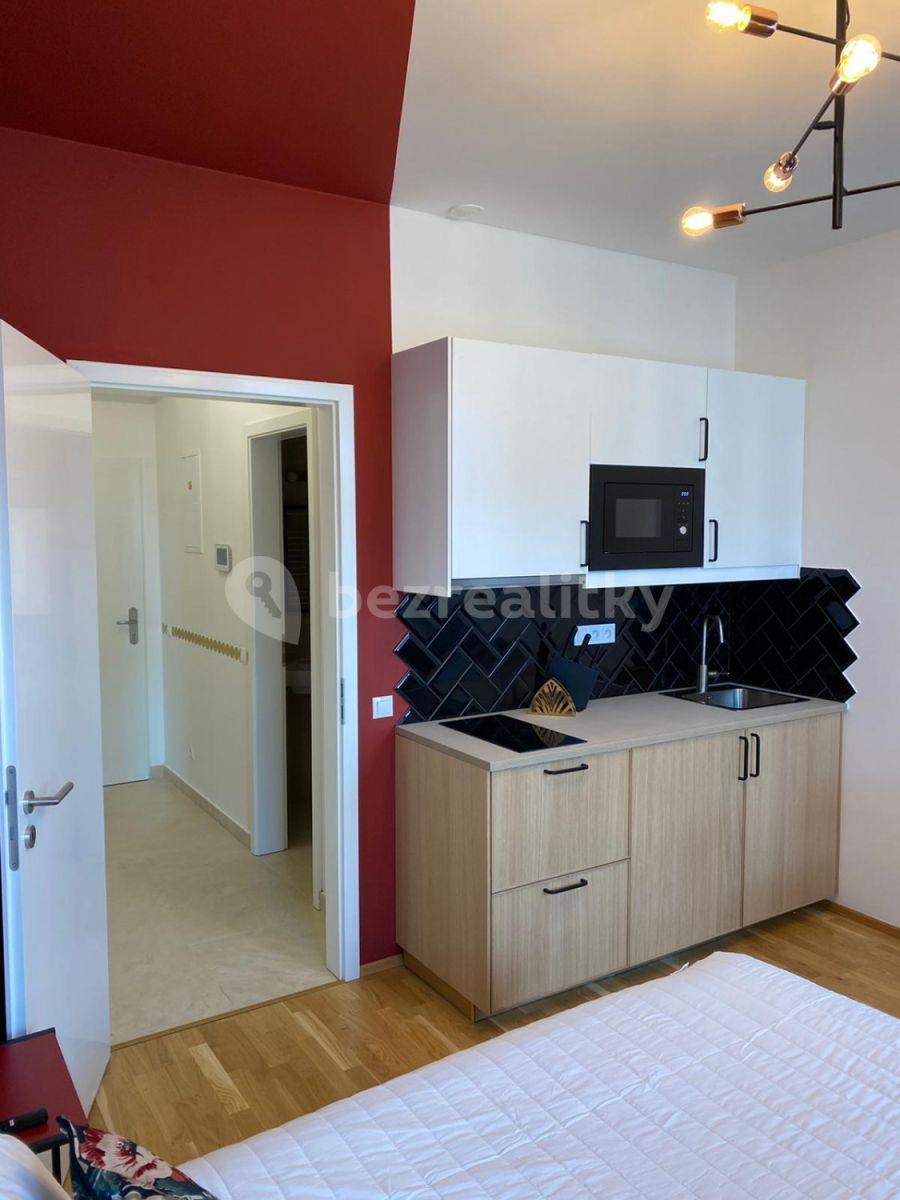 Studio flat to rent, 24 m², Tyršova, Prague, Prague