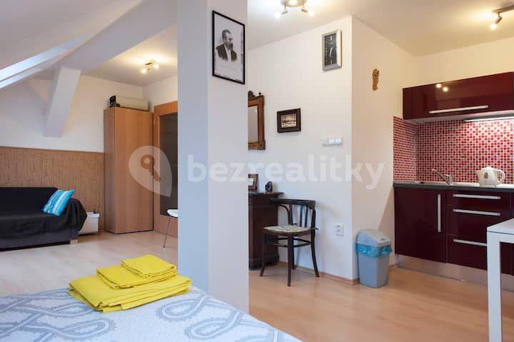 2 bedroom flat to rent, 25 m², Heydukova, Prague, Prague