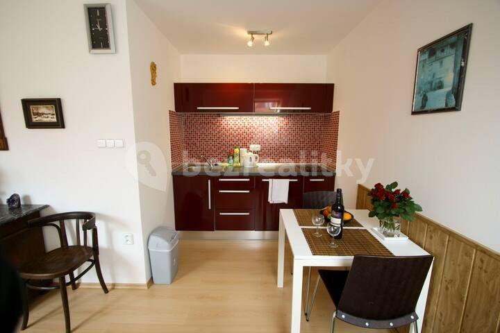 2 bedroom flat to rent, 25 m², Heydukova, Prague, Prague