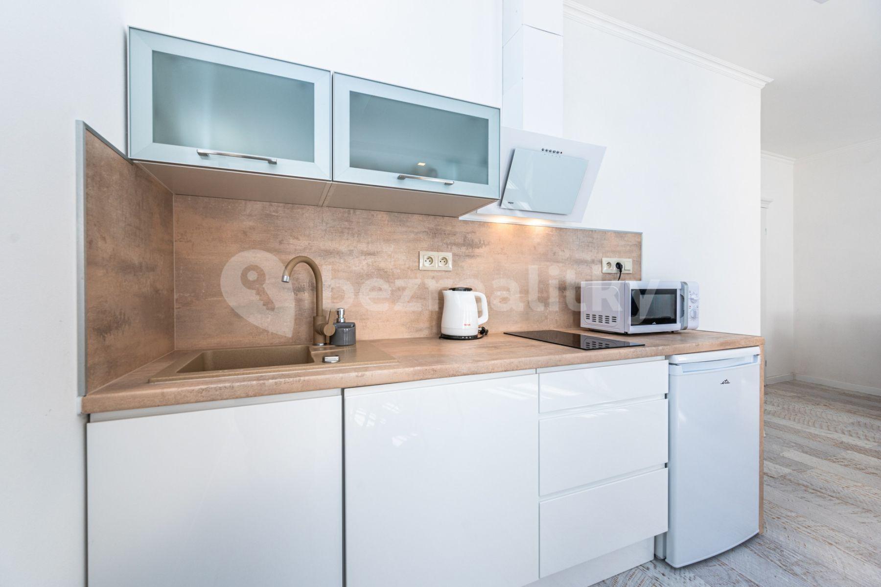 1 bedroom with open-plan kitchen flat to rent, 60 m², Mečislavova, Prague, Prague