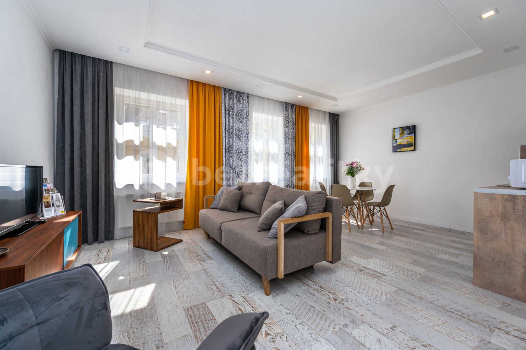 1 bedroom with open-plan kitchen flat to rent, 60 m², Mečislavova, Prague, Prague