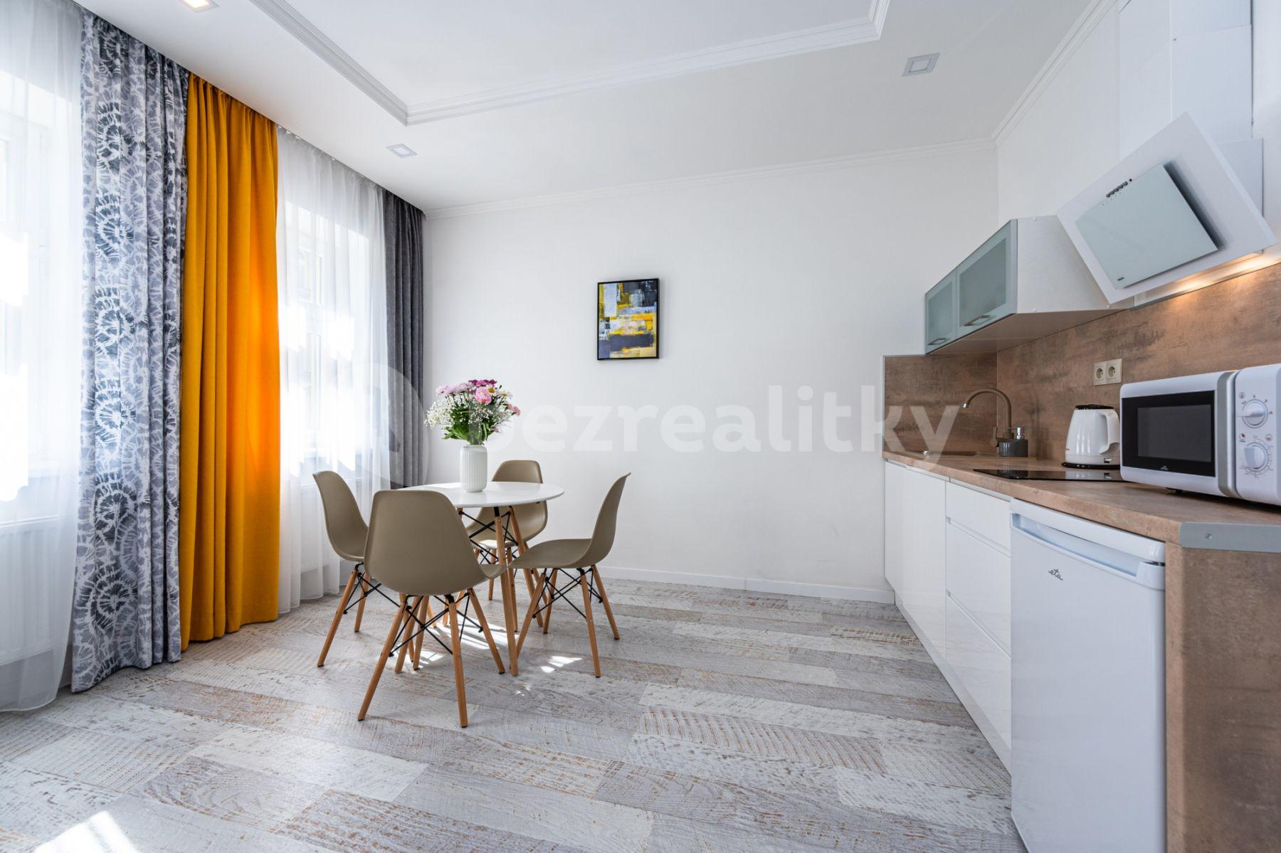 1 bedroom with open-plan kitchen flat to rent, 60 m², Mečislavova, Prague, Prague