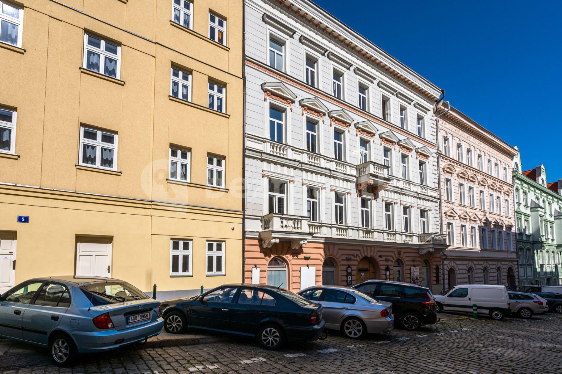 1 bedroom with open-plan kitchen flat to rent, 60 m², Mečislavova, Prague, Prague