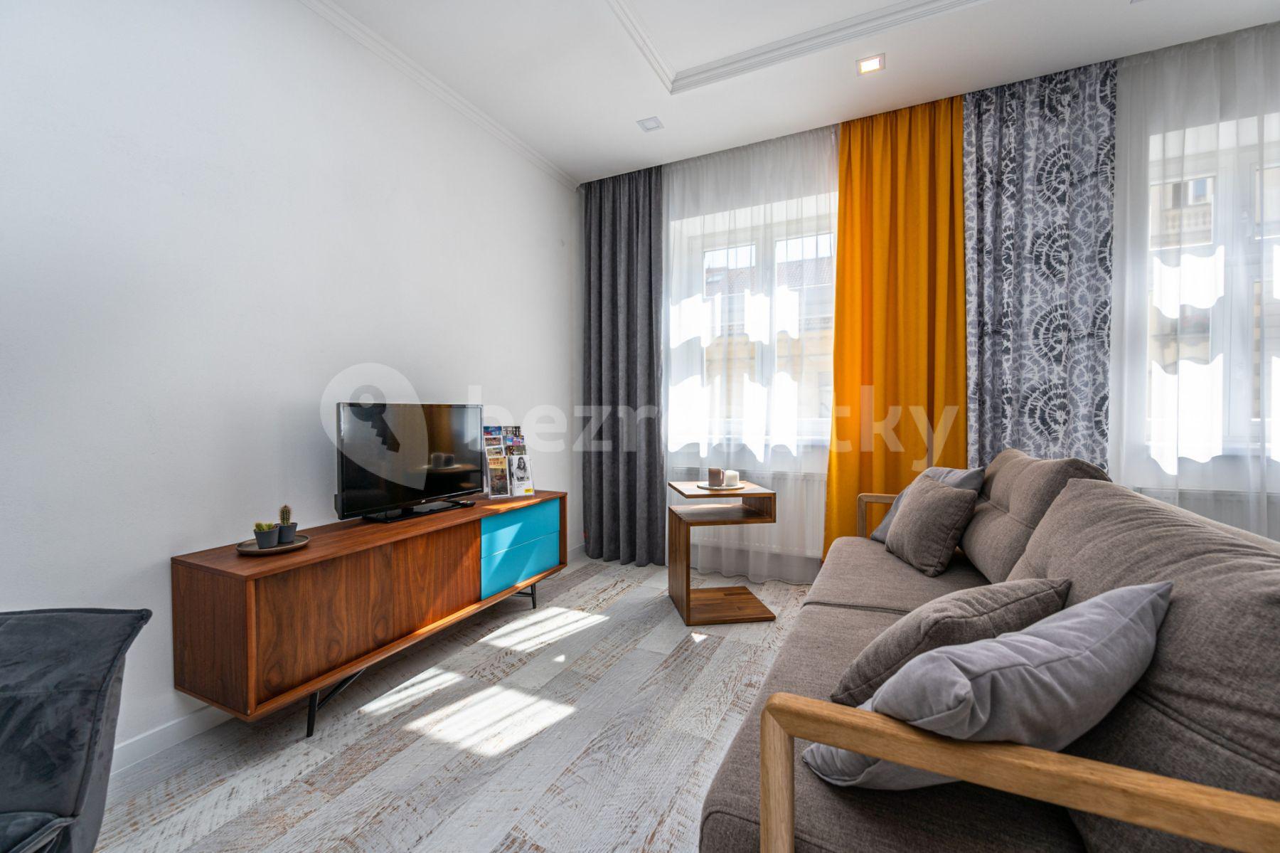 1 bedroom with open-plan kitchen flat to rent, 60 m², Mečislavova, Prague, Prague