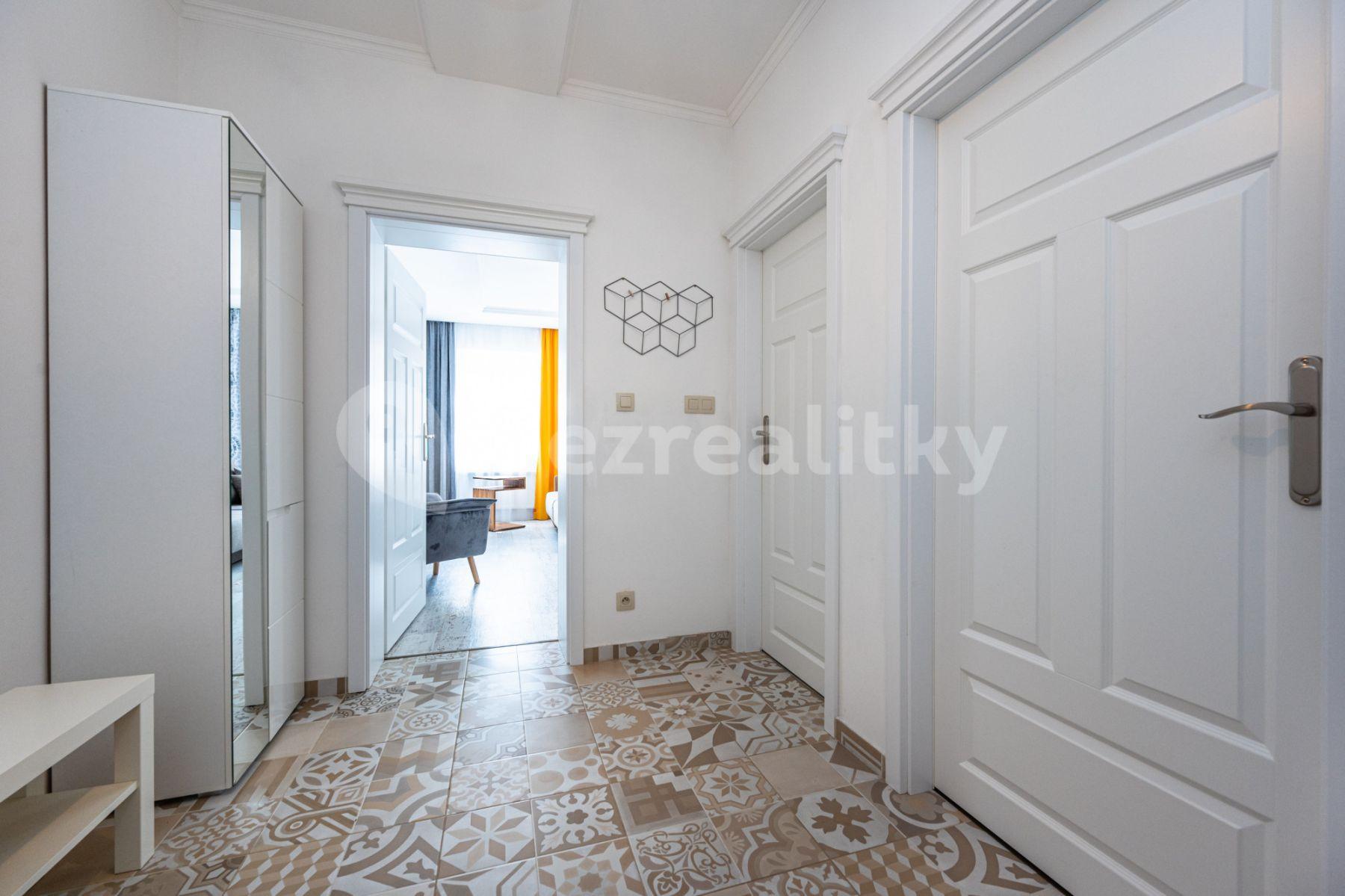 1 bedroom with open-plan kitchen flat to rent, 60 m², Mečislavova, Prague, Prague