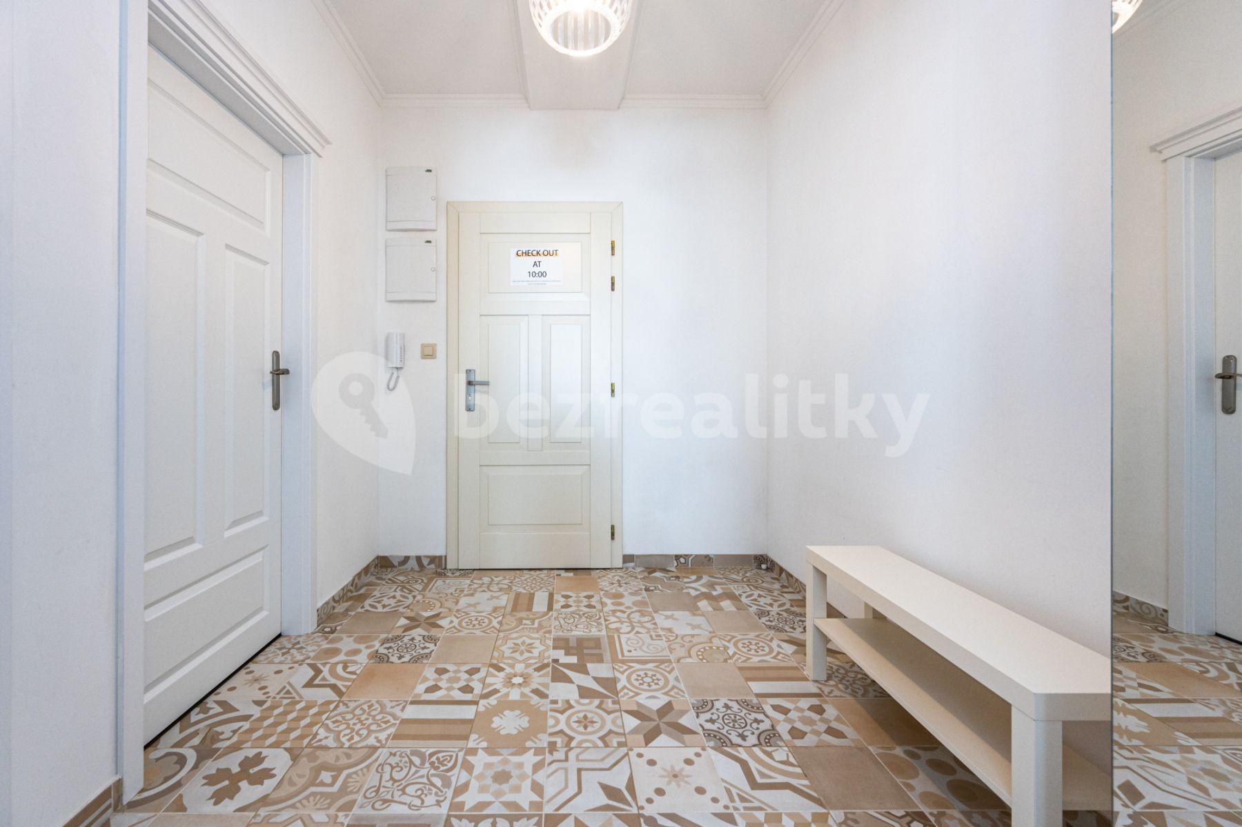 1 bedroom with open-plan kitchen flat to rent, 60 m², Mečislavova, Prague, Prague