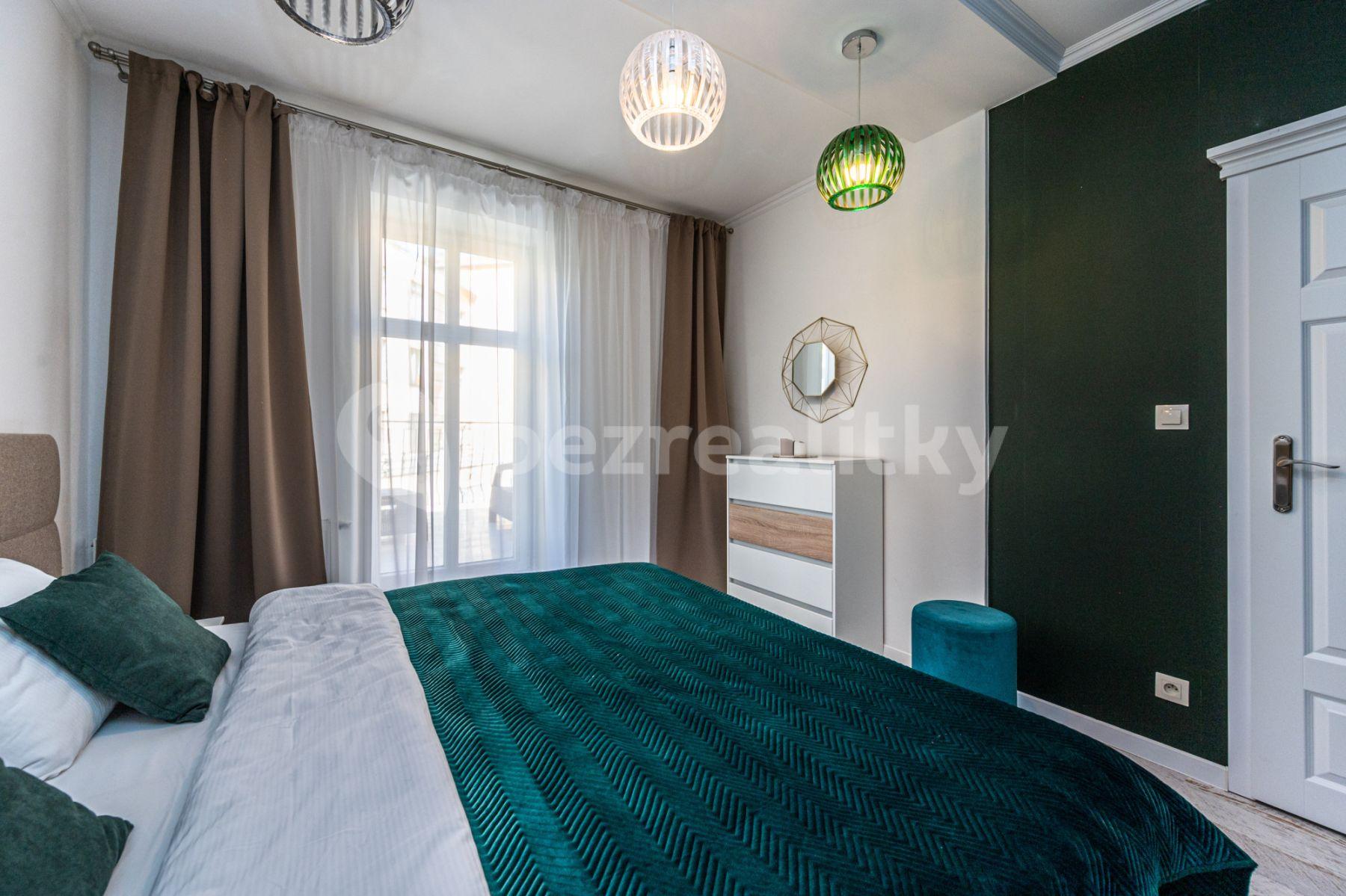 1 bedroom with open-plan kitchen flat to rent, 60 m², Mečislavova, Prague, Prague