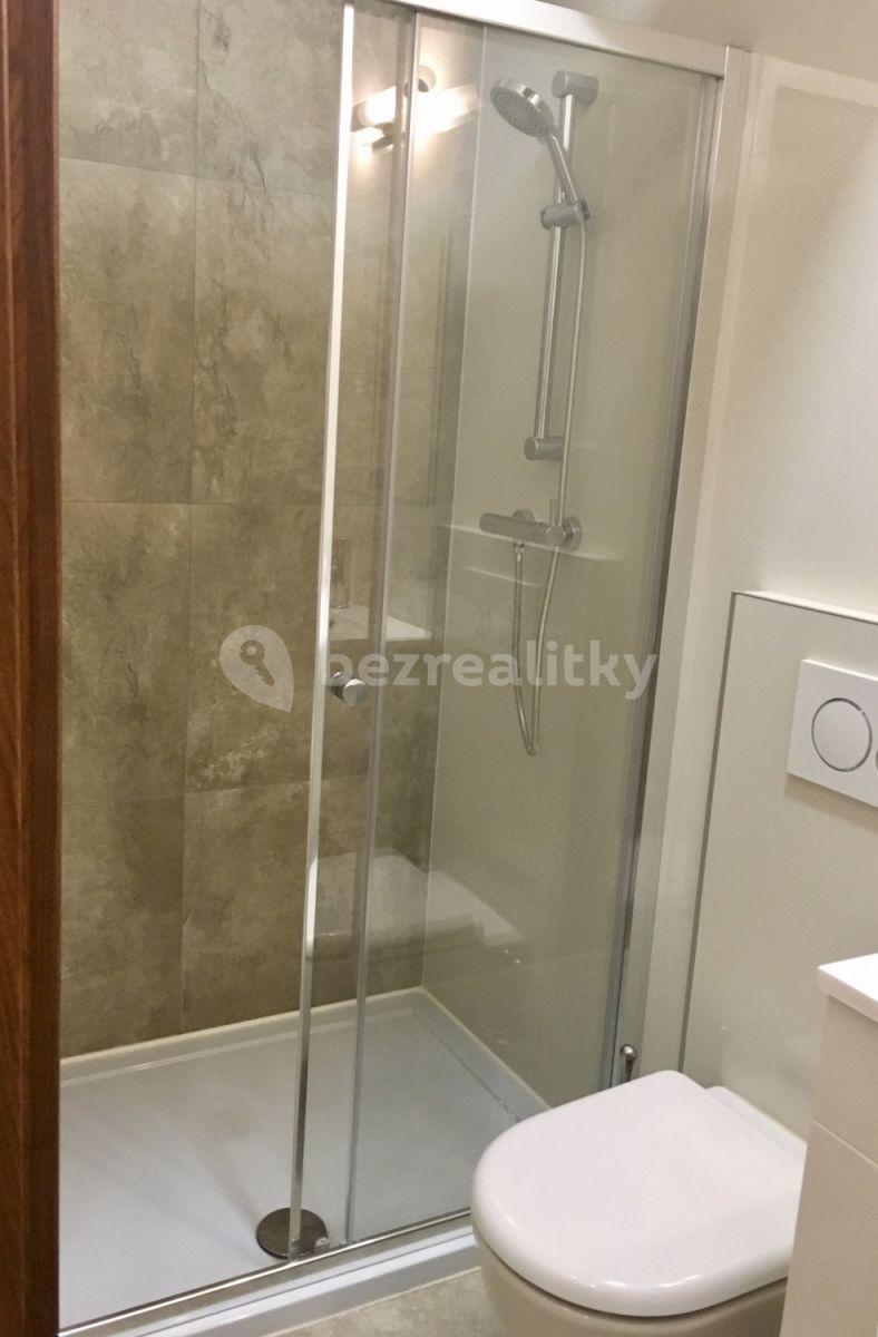 1 bedroom flat to rent, 34 m², Bulharská, Prague, Prague