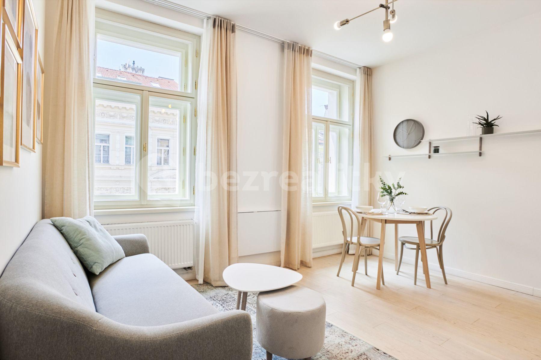 1 bedroom with open-plan kitchen flat to rent, 33 m², V Lesíčku, Prague, Prague