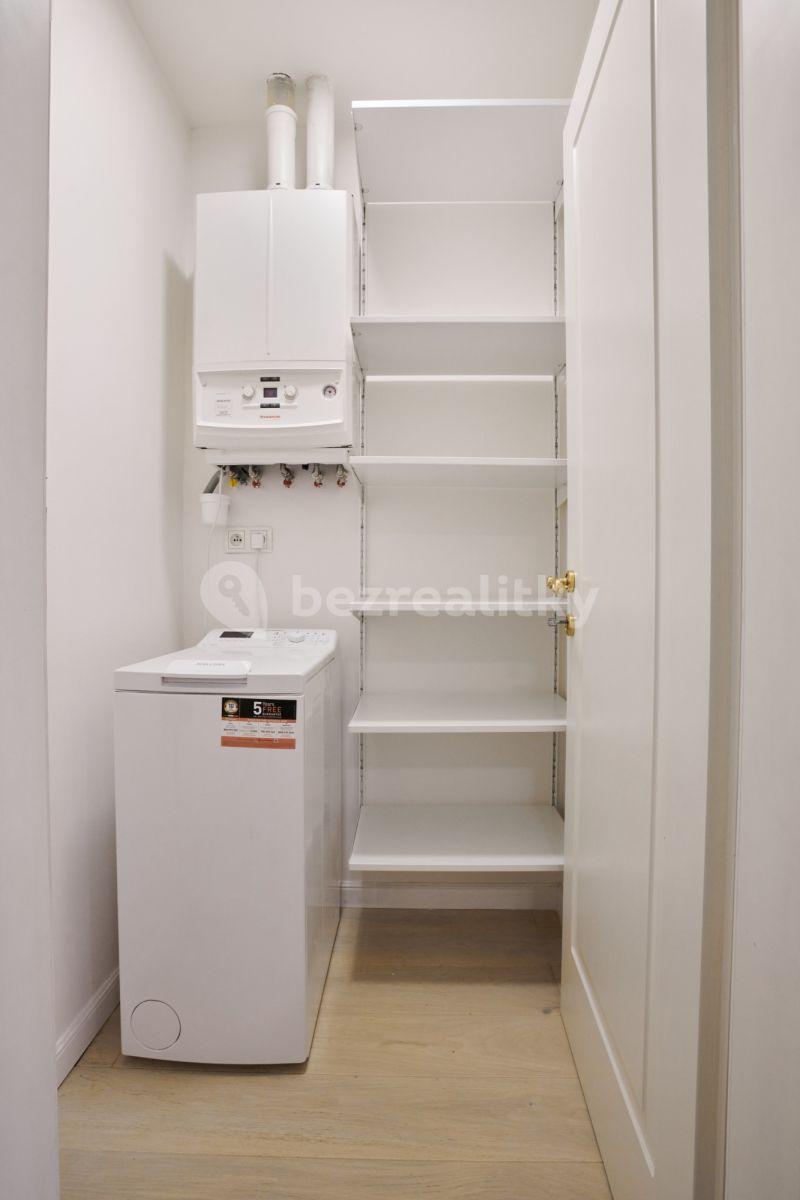 1 bedroom with open-plan kitchen flat to rent, 33 m², V Lesíčku, Prague, Prague