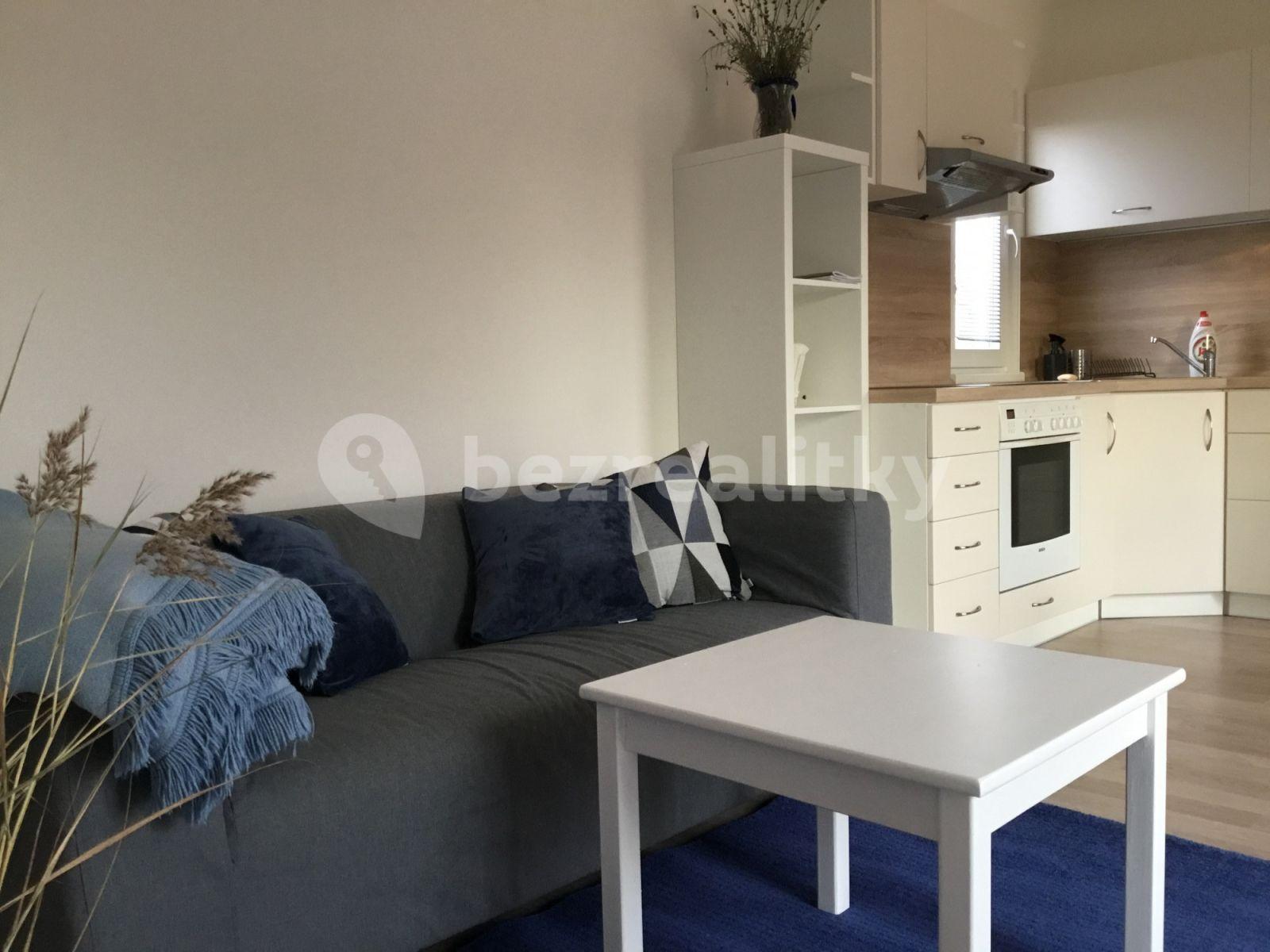 2 bedroom with open-plan kitchen flat to rent, 48 m², V Cestách, Šestajovice, Středočeský Region