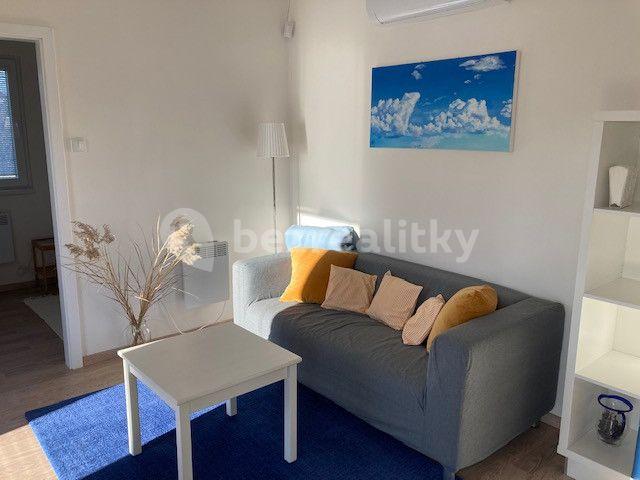 2 bedroom with open-plan kitchen flat to rent, 48 m², V Cestách, Šestajovice, Středočeský Region