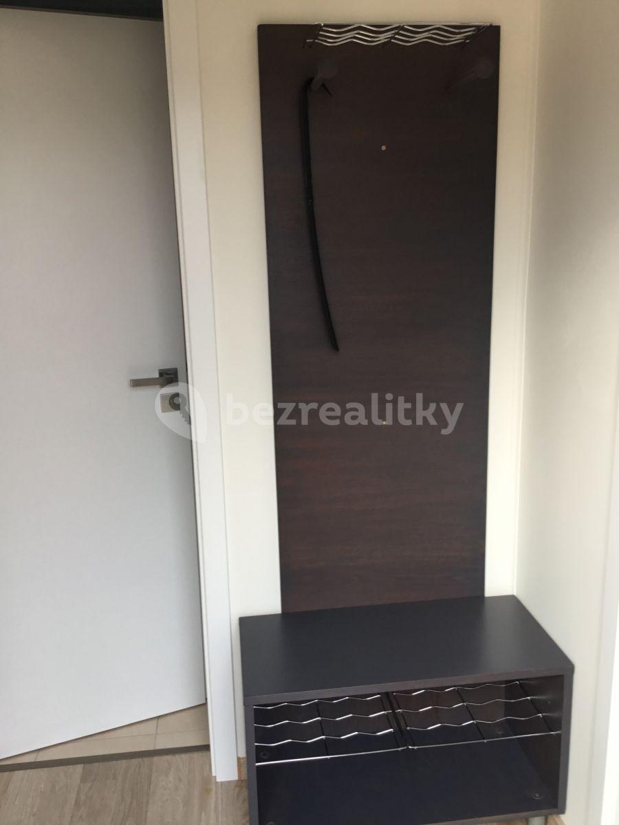 2 bedroom with open-plan kitchen flat to rent, 48 m², V Cestách, Šestajovice, Středočeský Region