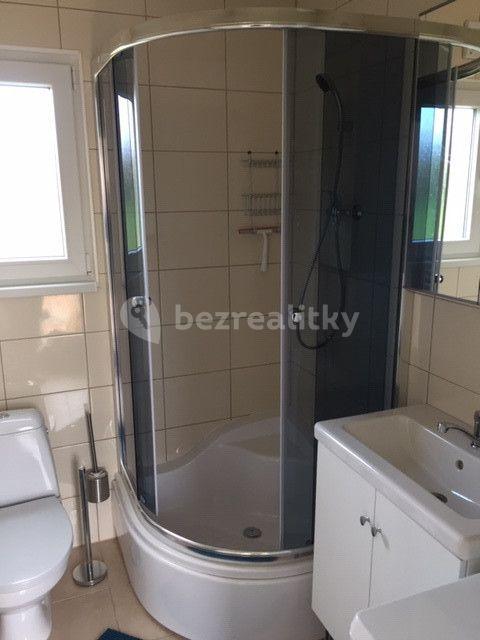 2 bedroom with open-plan kitchen flat to rent, 48 m², V Cestách, Šestajovice, Středočeský Region