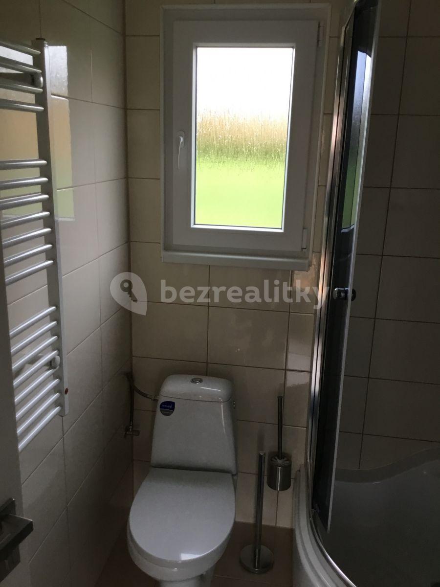 2 bedroom with open-plan kitchen flat to rent, 48 m², V Cestách, Šestajovice, Středočeský Region