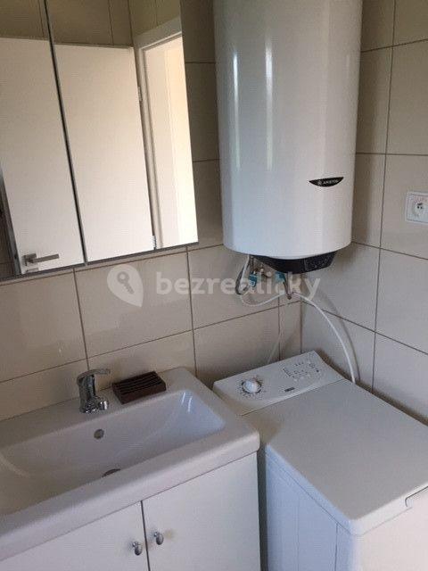 2 bedroom with open-plan kitchen flat to rent, 48 m², V Cestách, Šestajovice, Středočeský Region