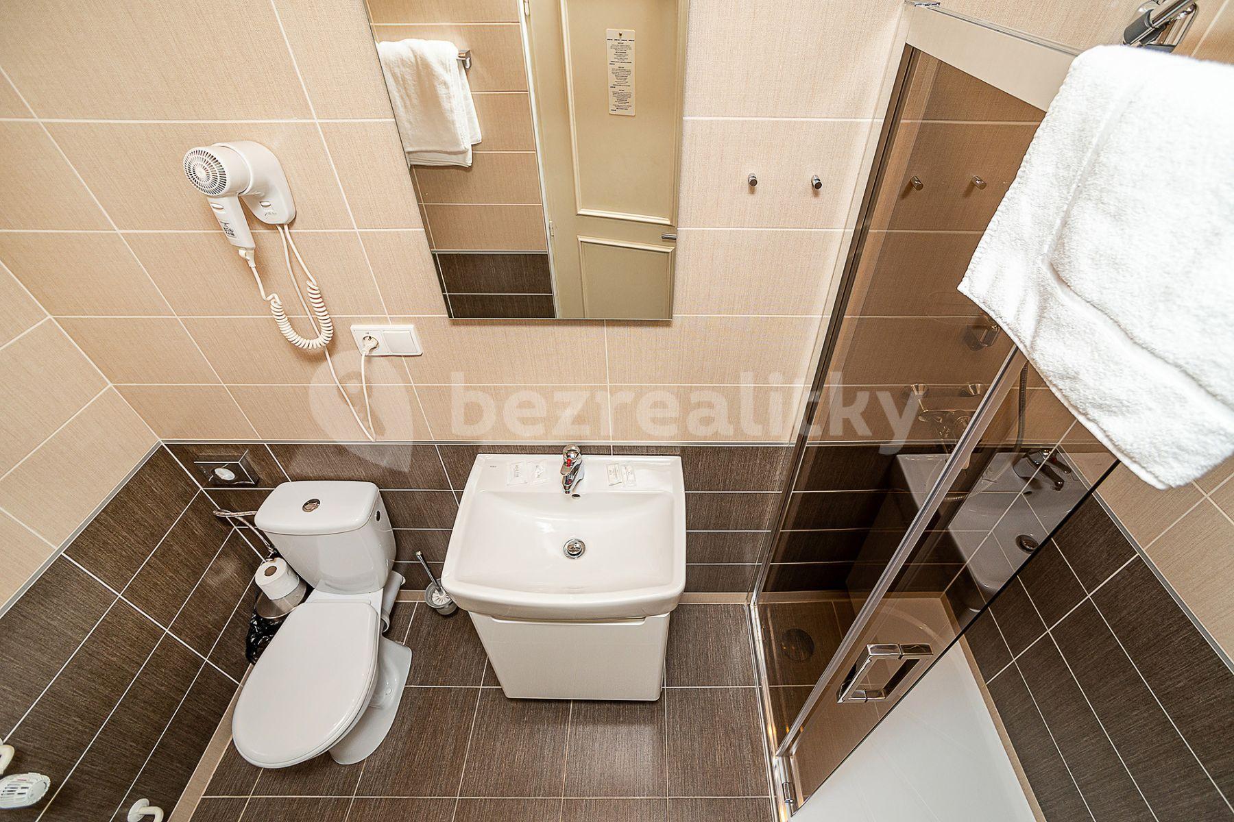 Studio flat to rent, 27 m², Americká, Prague, Prague