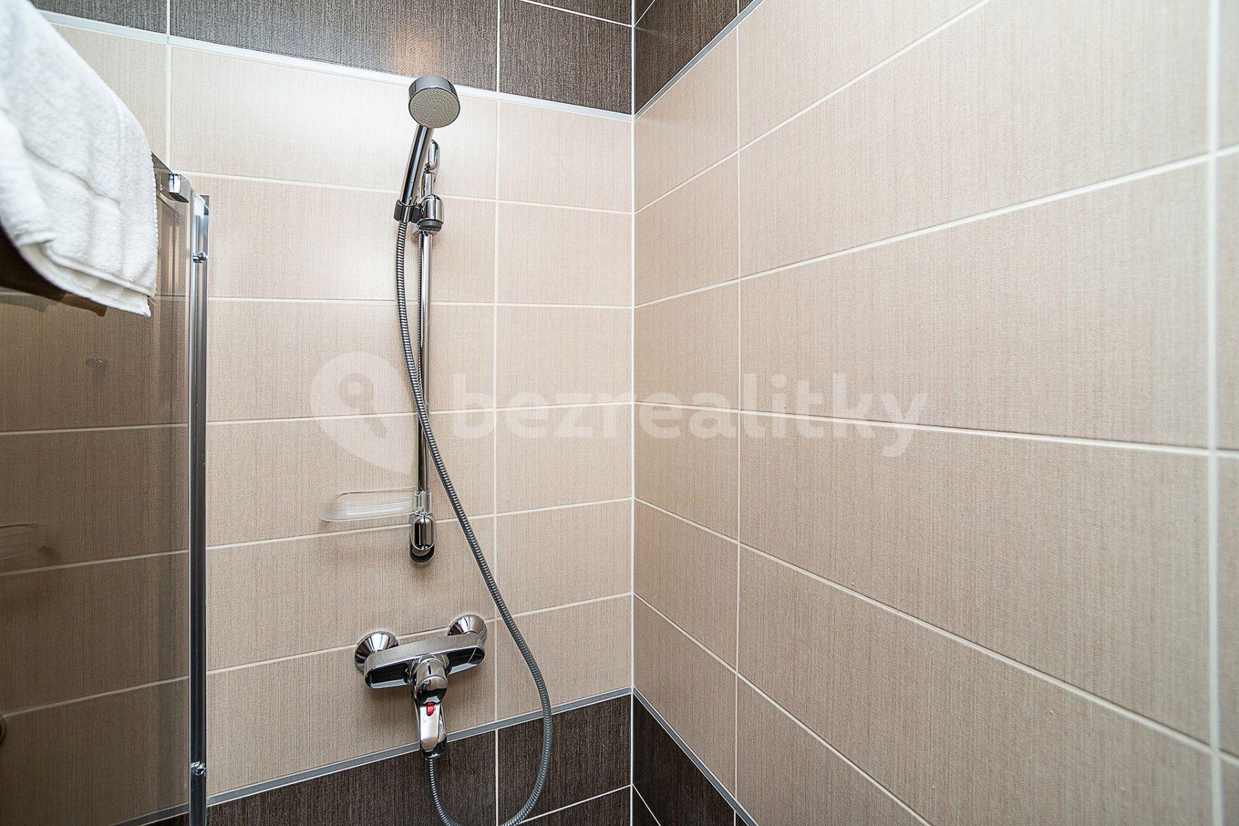 Studio flat to rent, 27 m², Americká, Prague, Prague