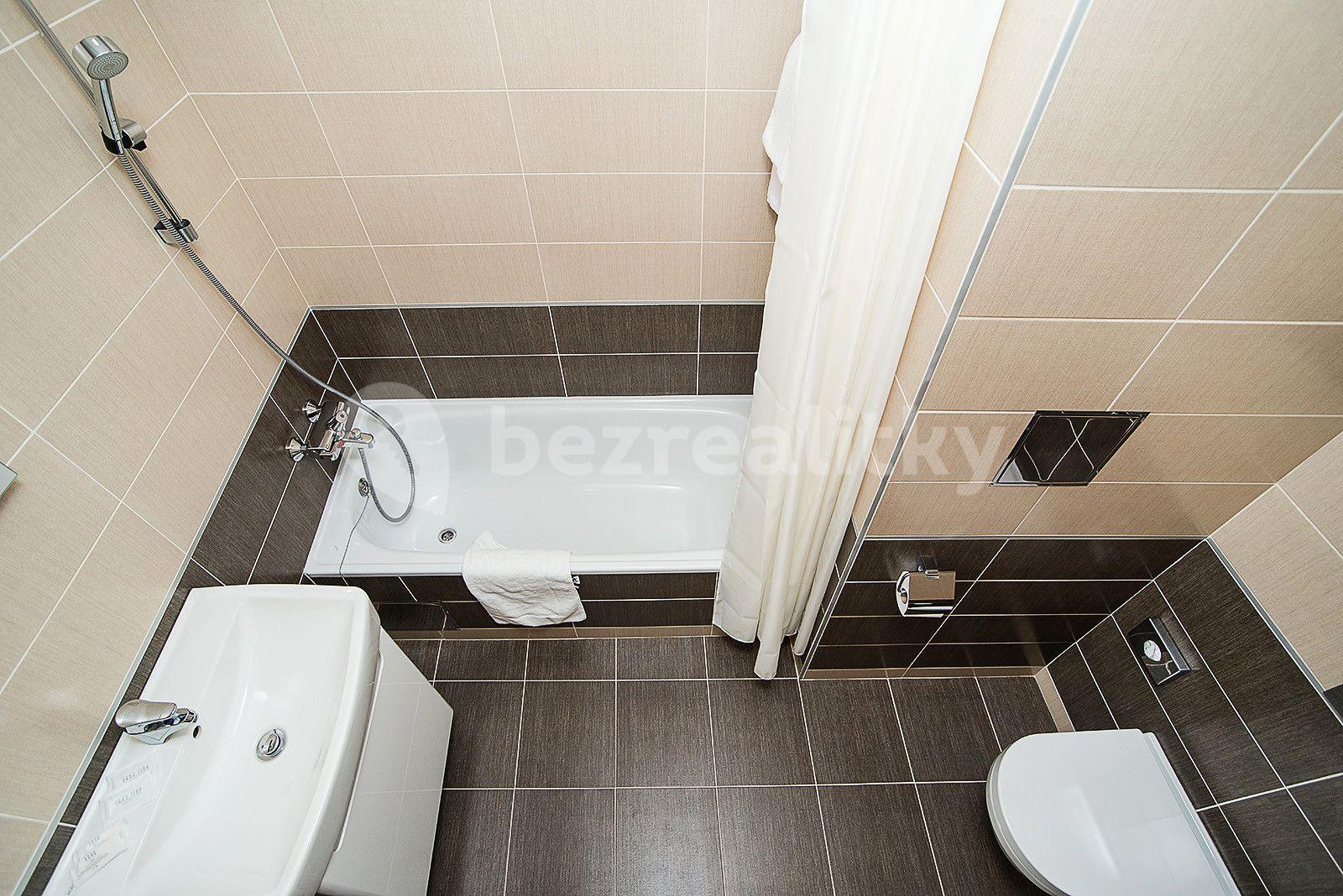 1 bedroom flat to rent, 43 m², Americká, Prague, Prague