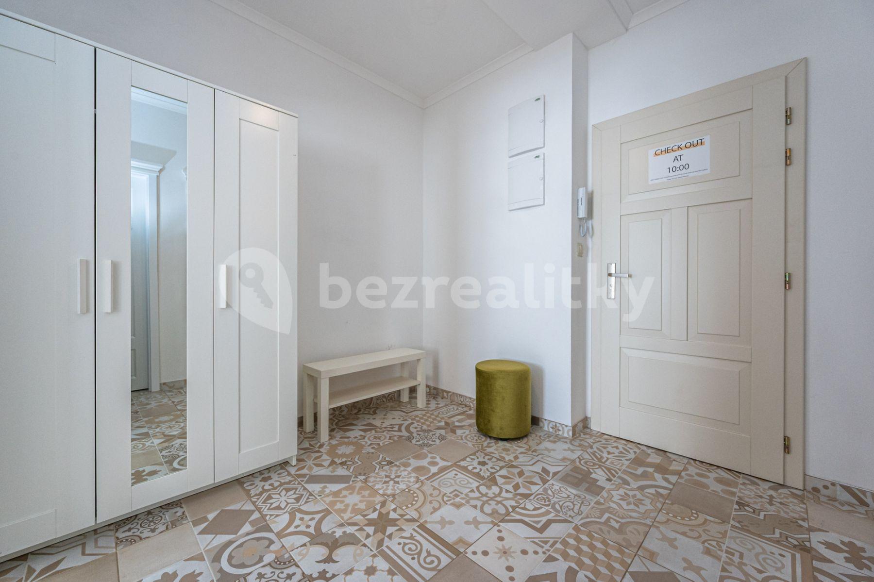 1 bedroom with open-plan kitchen flat to rent, 60 m², Mečislavova, Prague, Prague