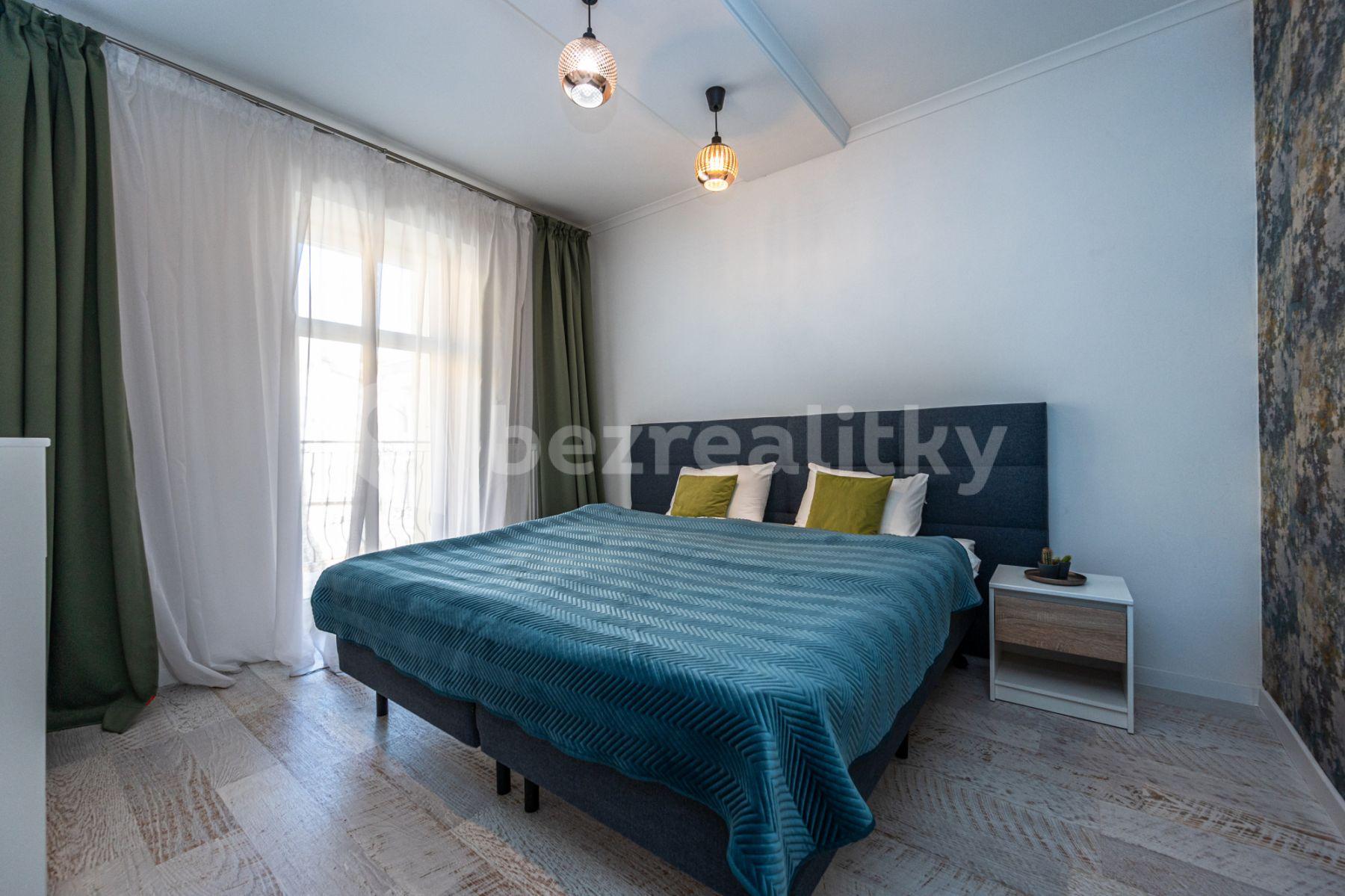 1 bedroom with open-plan kitchen flat to rent, 60 m², Mečislavova, Prague, Prague