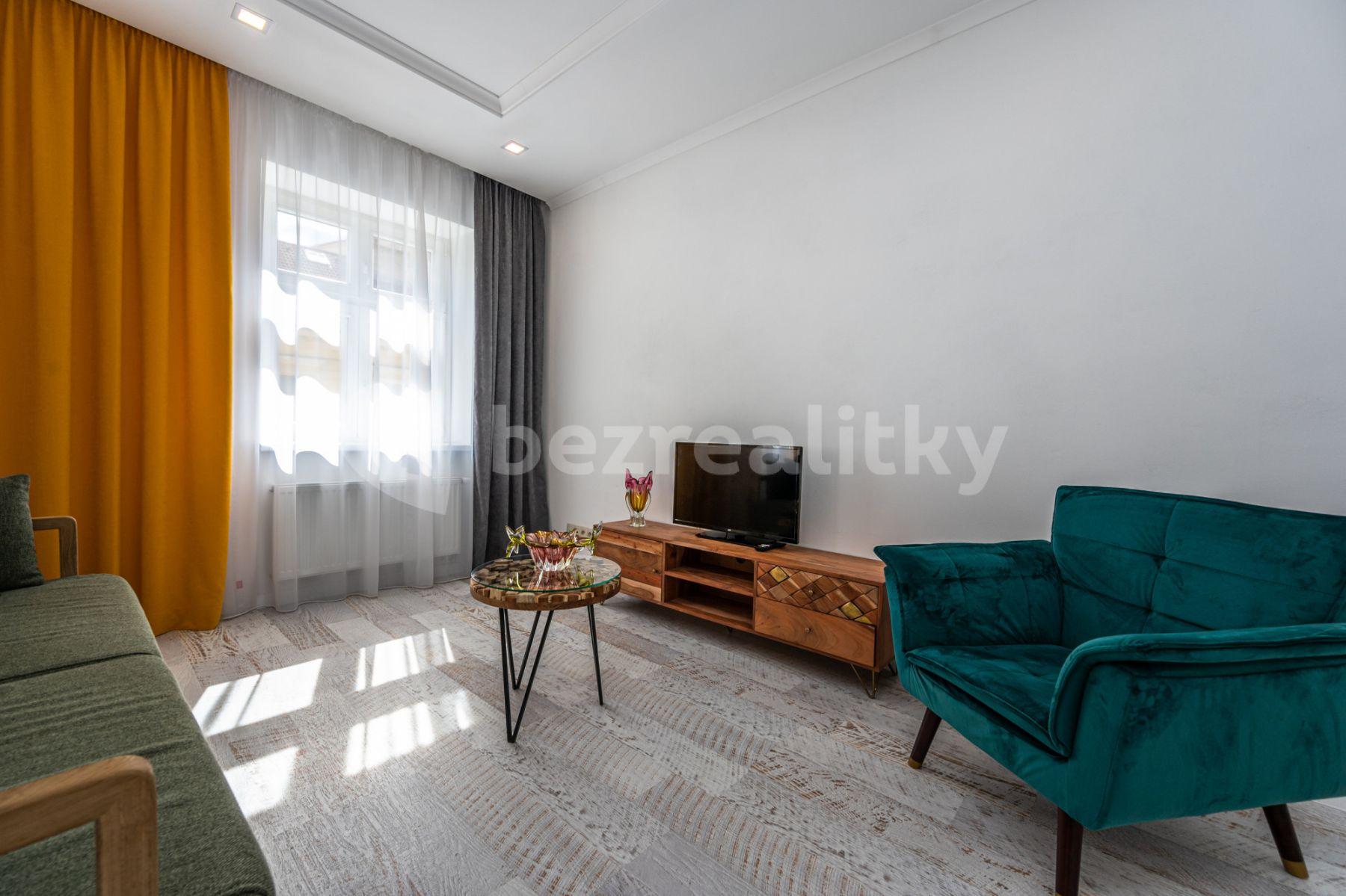 1 bedroom with open-plan kitchen flat to rent, 60 m², Mečislavova, Prague, Prague