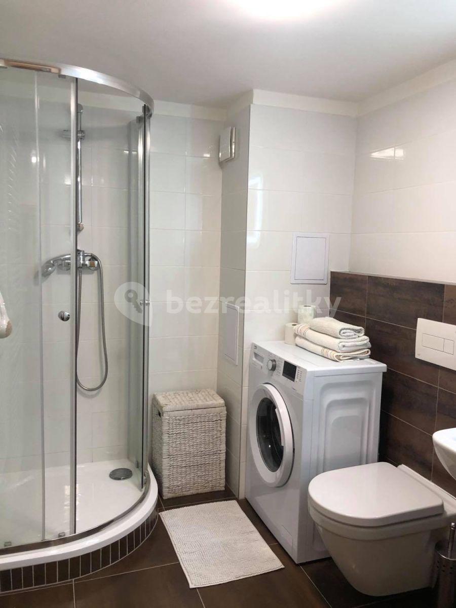 Studio flat to rent, 30 m², Rostislavova, Prague, Prague