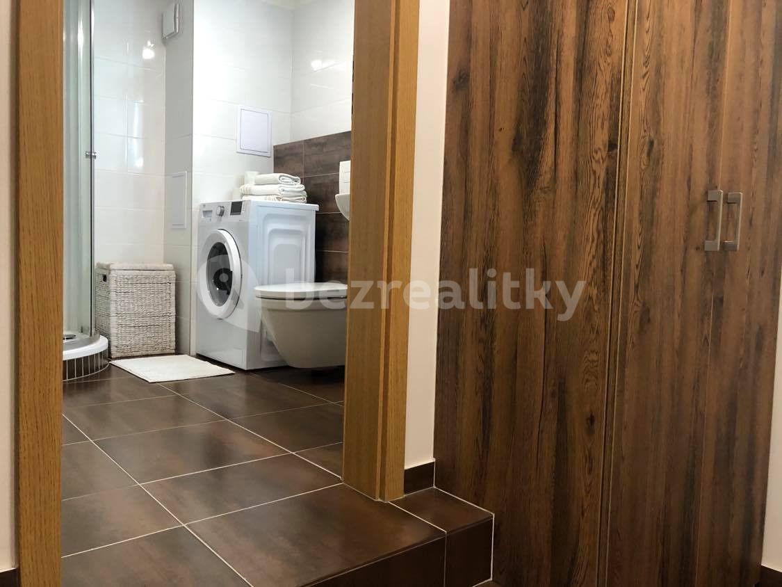 Studio flat to rent, 30 m², Rostislavova, Prague, Prague