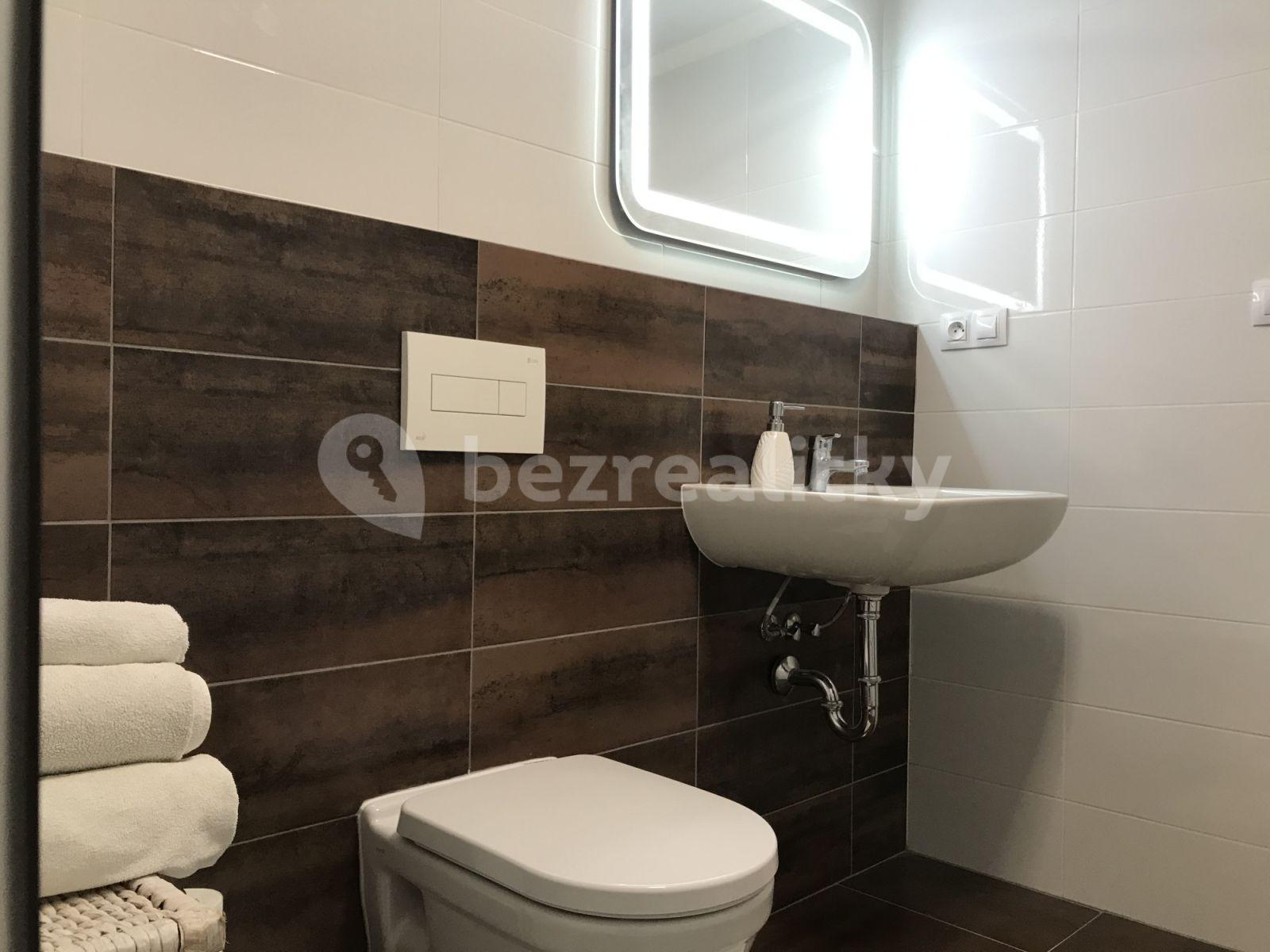 Studio flat to rent, 30 m², Rostislavova, Prague, Prague