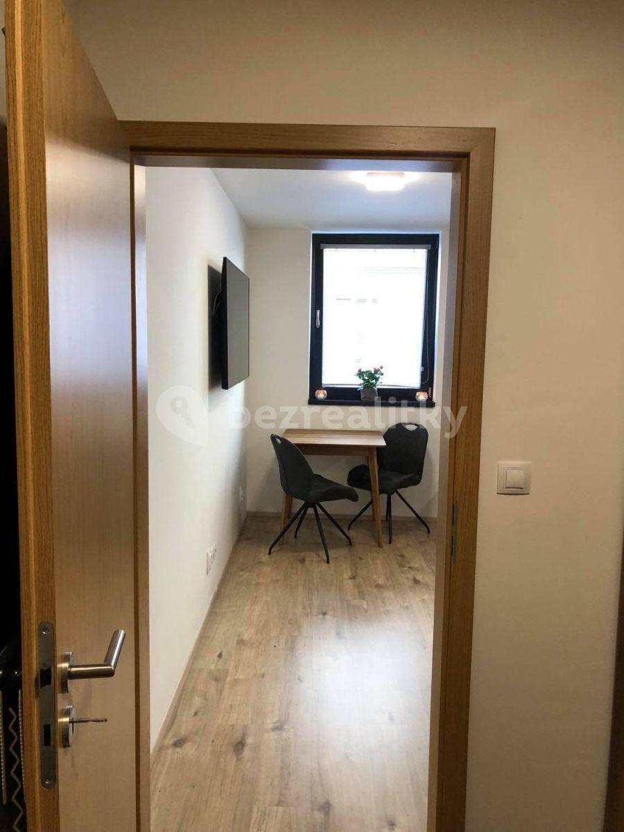 Studio flat to rent, 30 m², Rostislavova, Prague, Prague