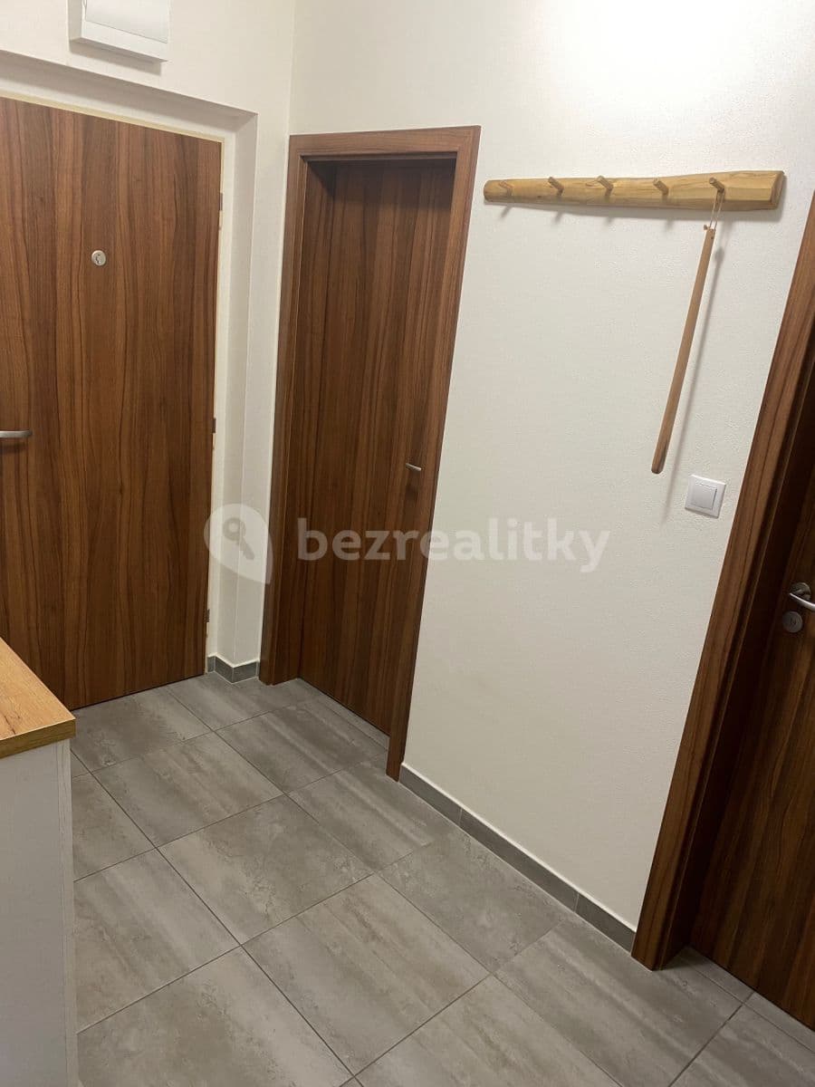1 bedroom with open-plan kitchen flat to rent, 48 m², Lišejníková, Brno, Jihomoravský Region