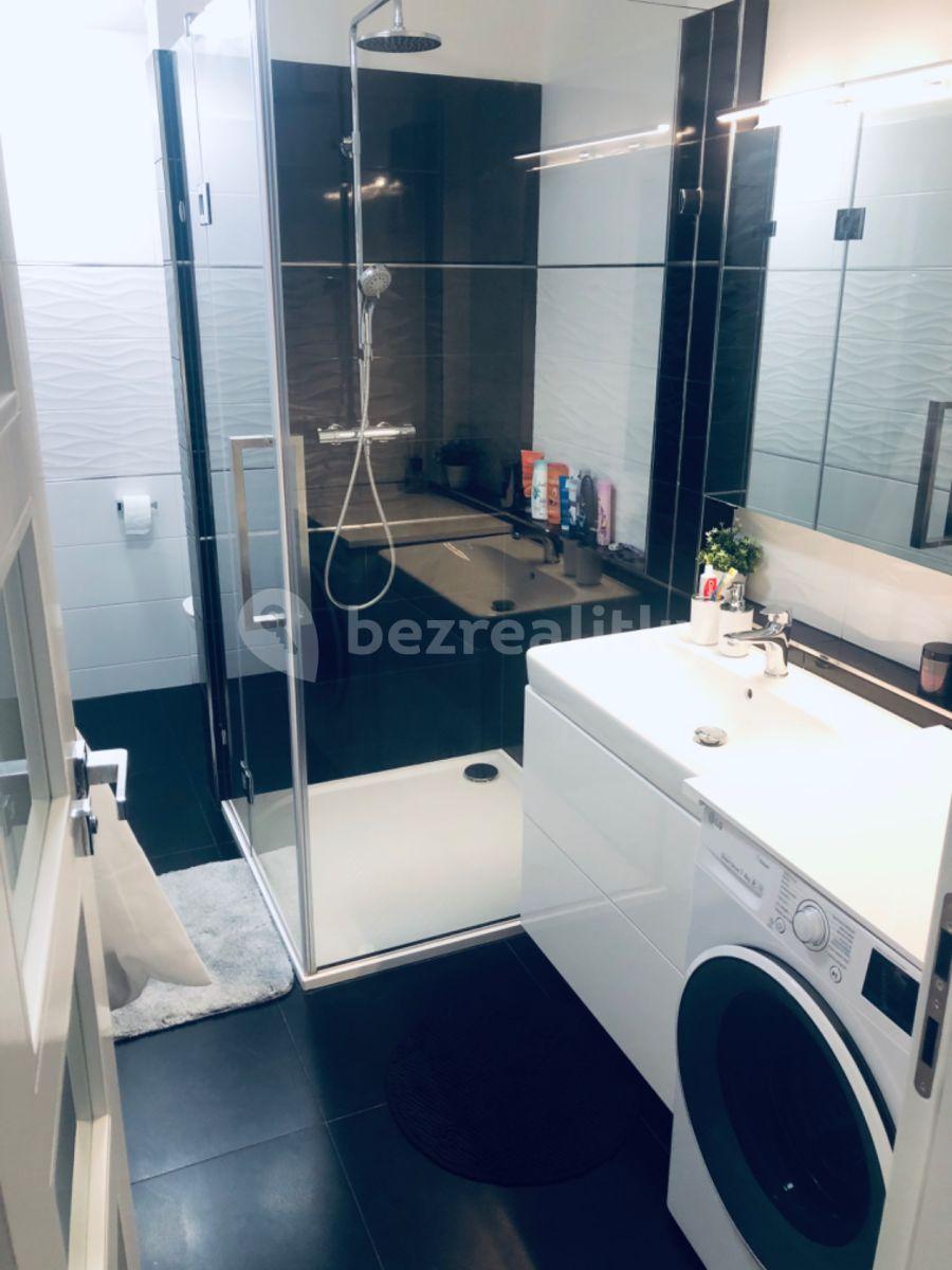 1 bedroom with open-plan kitchen flat to rent, 52 m², Na Zlaté stoce, České Budějovice, Jihočeský Region