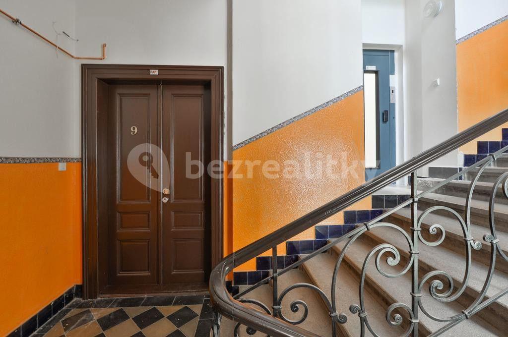 1 bedroom with open-plan kitchen flat to rent, 80 m², Ve Smečkách, Prague, Prague