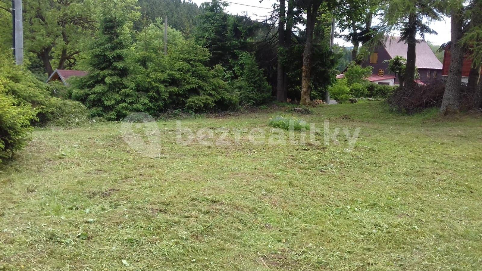 plot for sale, 580 m², Abertamy, Karlovarský Region