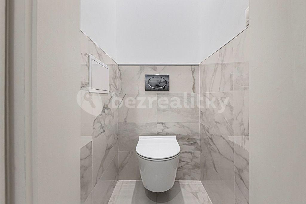 1 bedroom with open-plan kitchen flat to rent, 59 m², Kaizlovy sady, Prague, Prague