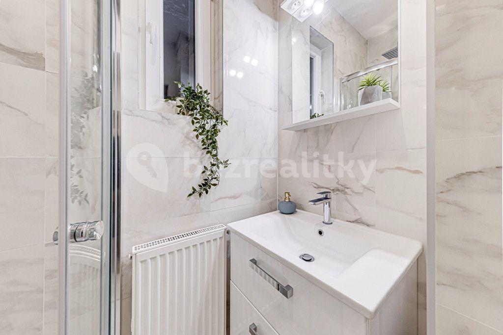 1 bedroom with open-plan kitchen flat to rent, 59 m², Kaizlovy sady, Prague, Prague