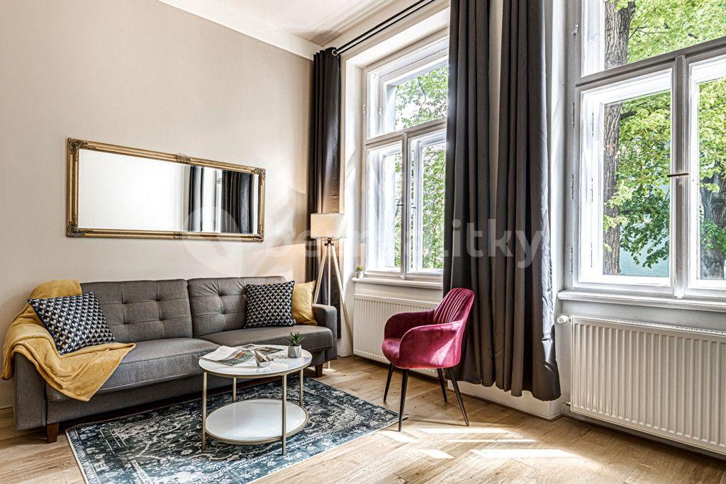 1 bedroom with open-plan kitchen flat to rent, 59 m², Kaizlovy sady, Prague, Prague