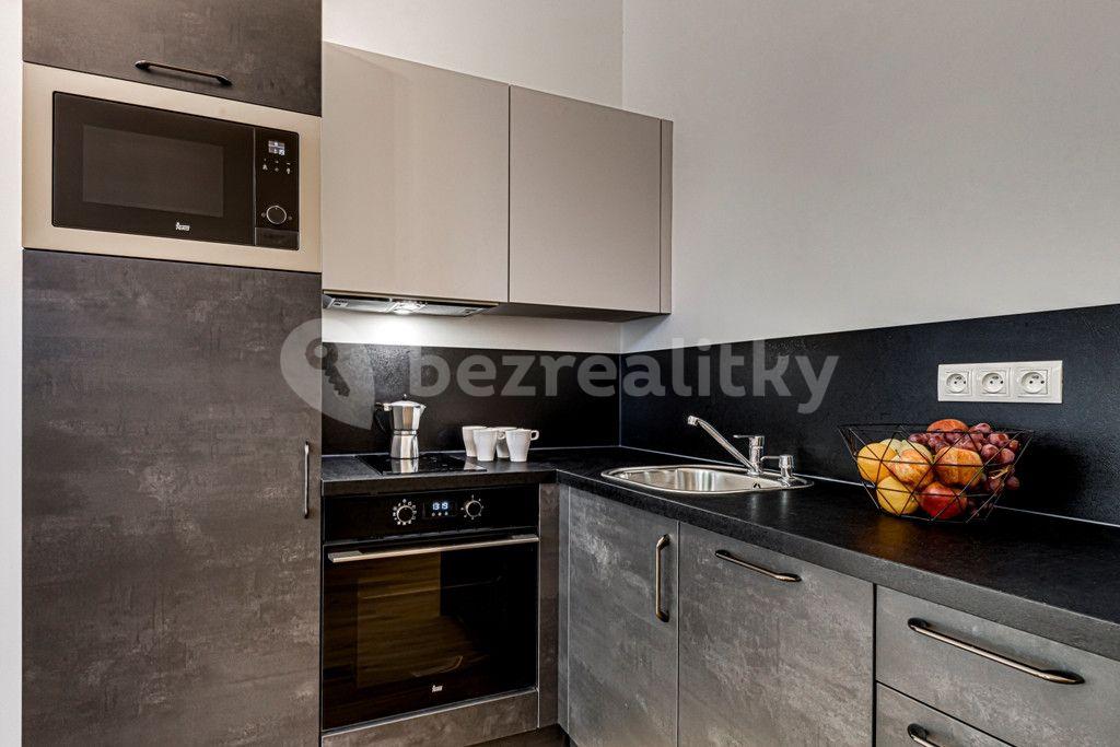 1 bedroom with open-plan kitchen flat to rent, 59 m², Kaizlovy sady, Prague, Prague