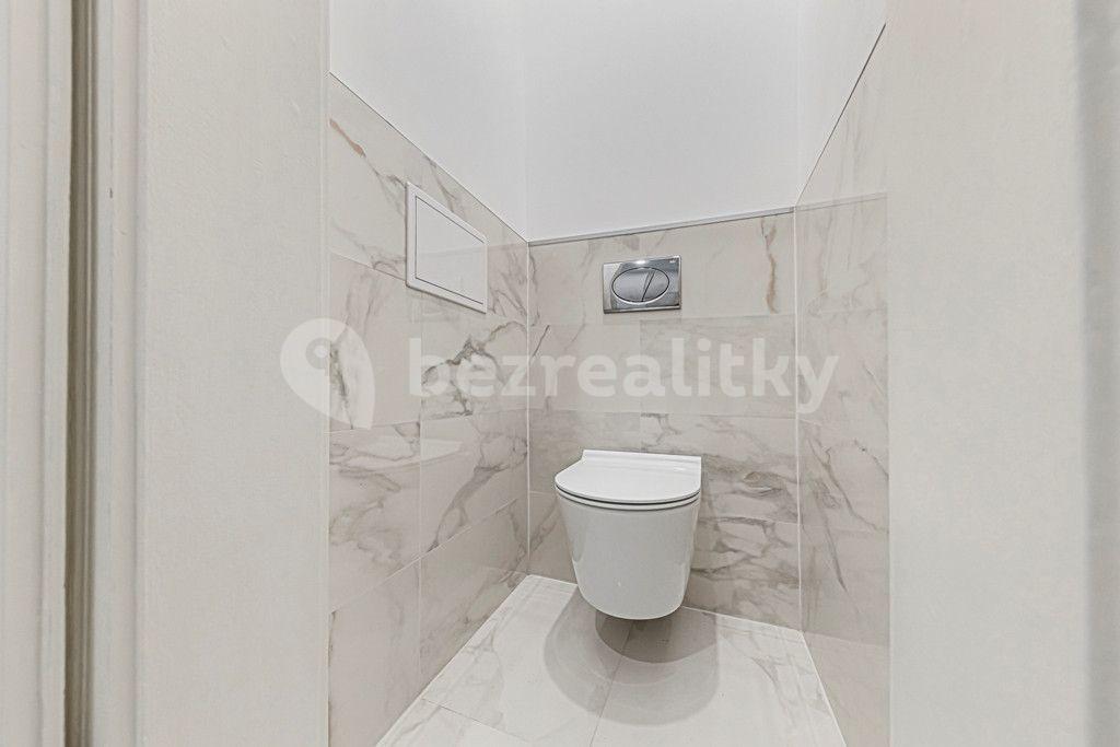 1 bedroom with open-plan kitchen flat to rent, 59 m², Kaizlovy sady, Prague, Prague