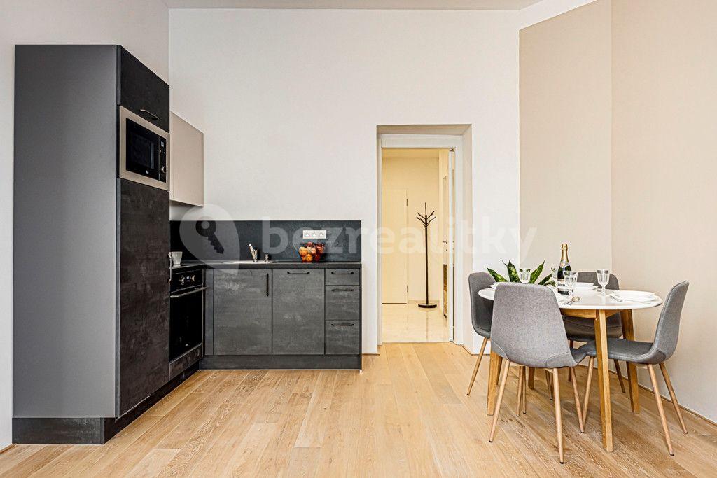 1 bedroom with open-plan kitchen flat to rent, 59 m², Kaizlovy sady, Prague, Prague