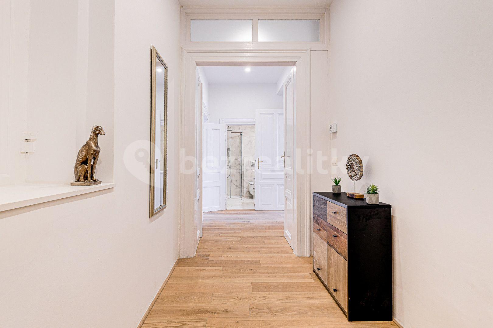 1 bedroom with open-plan kitchen flat to rent, 63 m², Kaizlovy sady, Prague, Prague