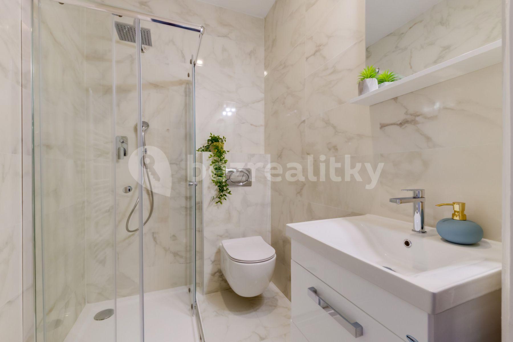 1 bedroom with open-plan kitchen flat to rent, 63 m², Kaizlovy sady, Prague, Prague