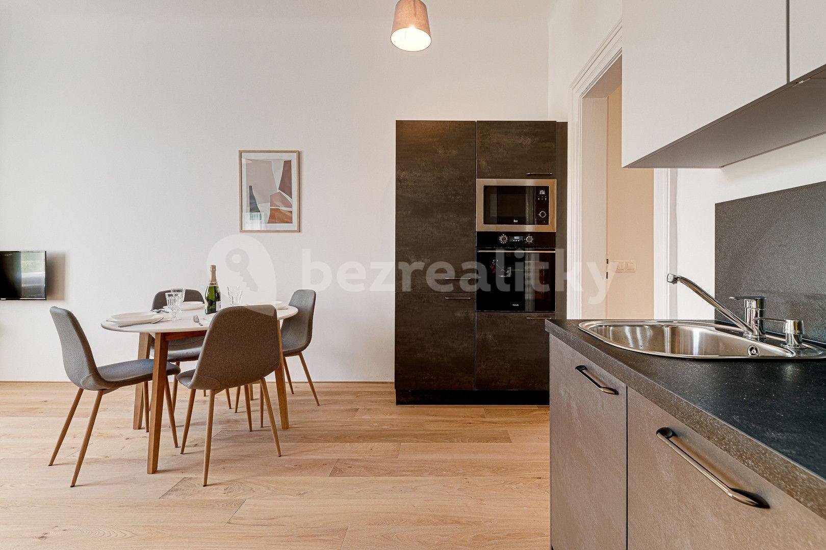 1 bedroom with open-plan kitchen flat to rent, 63 m², Kaizlovy sady, Prague, Prague