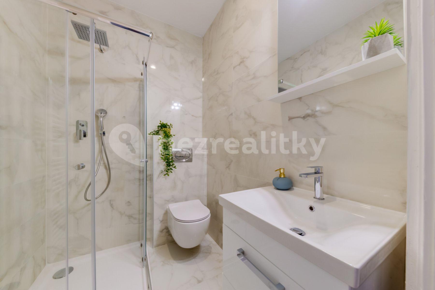 1 bedroom with open-plan kitchen flat to rent, 63 m², Kaizlovy sady, Prague, Prague