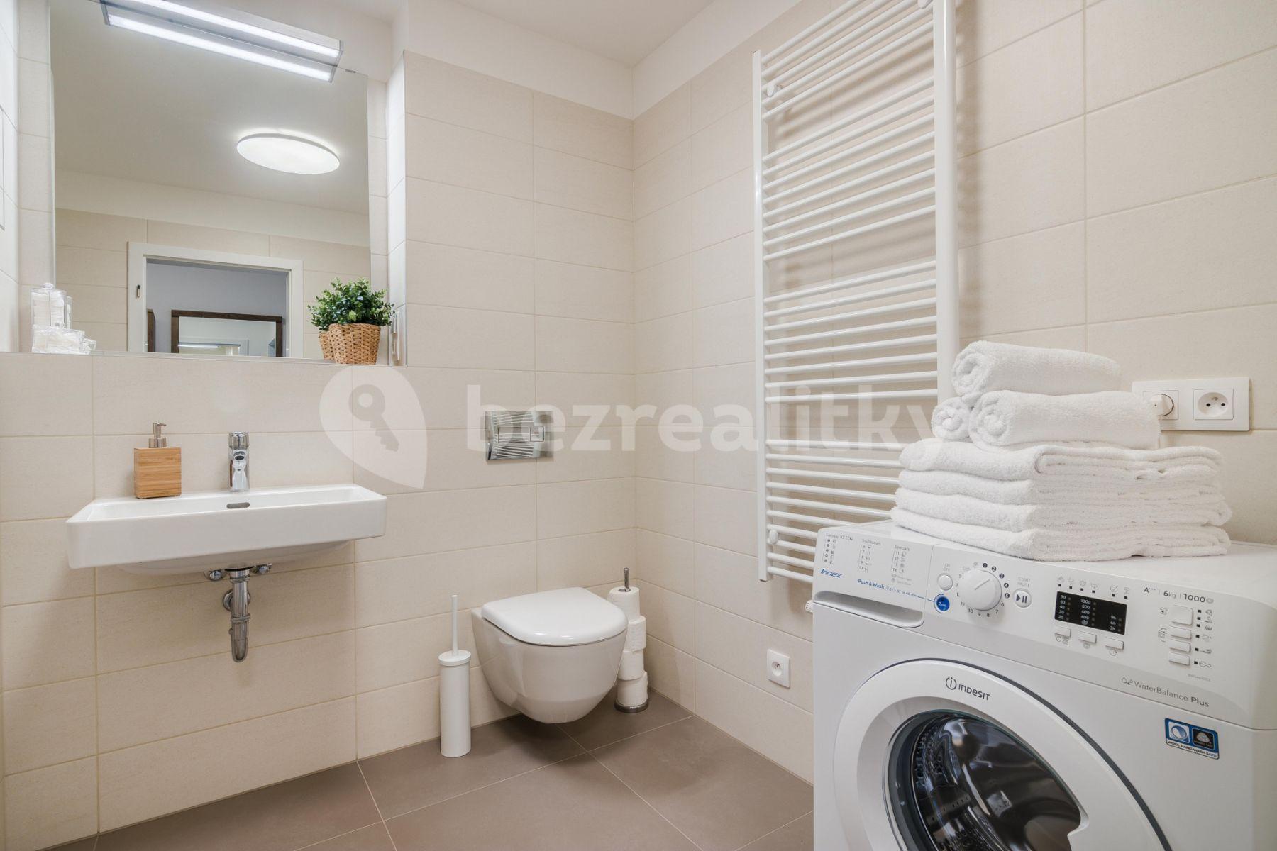 1 bedroom with open-plan kitchen flat to rent, 54 m², Laponská, Prague, Prague